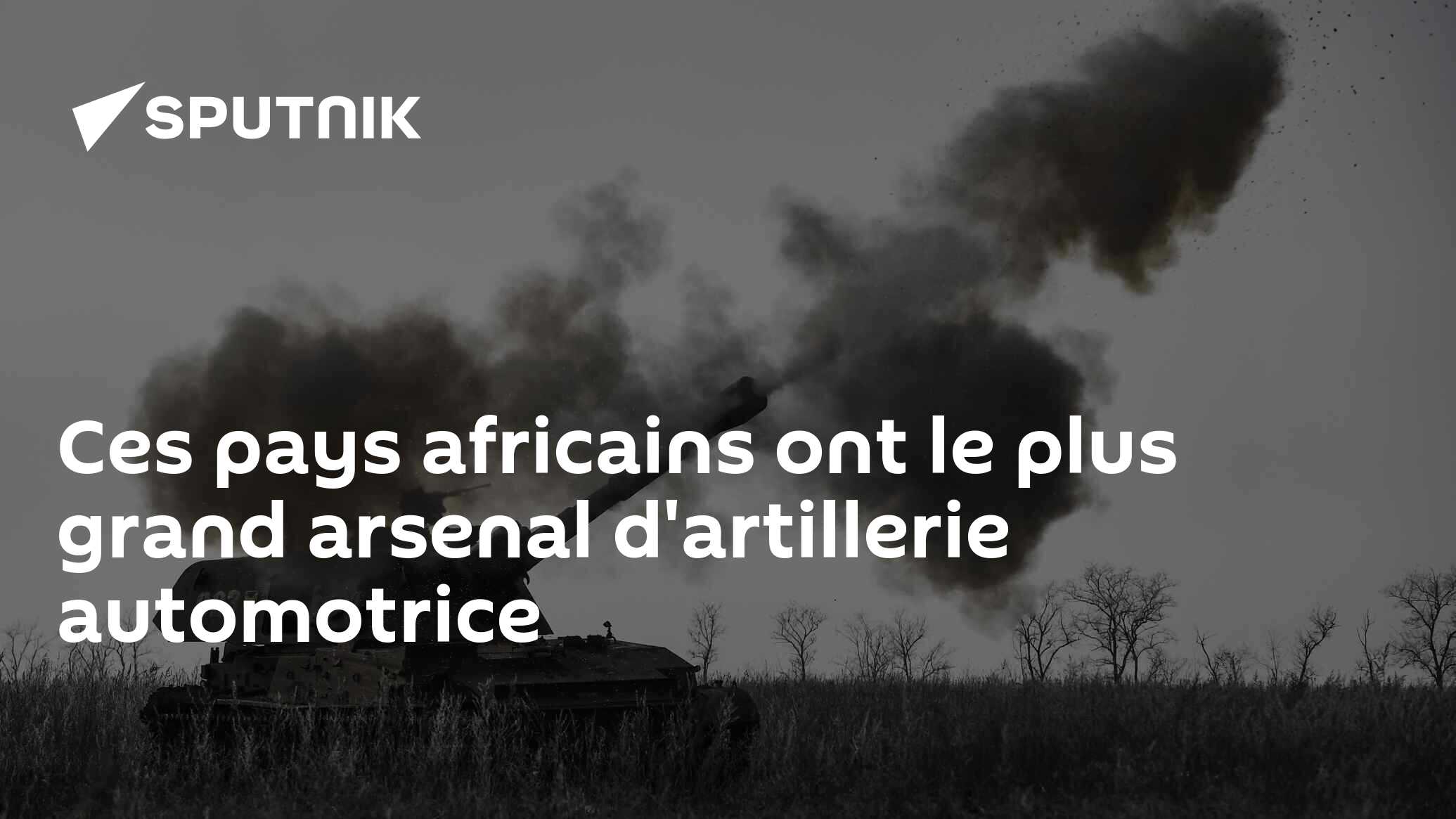 Ces pays africains ont le plus grand arsenal d'artillerie automotrice