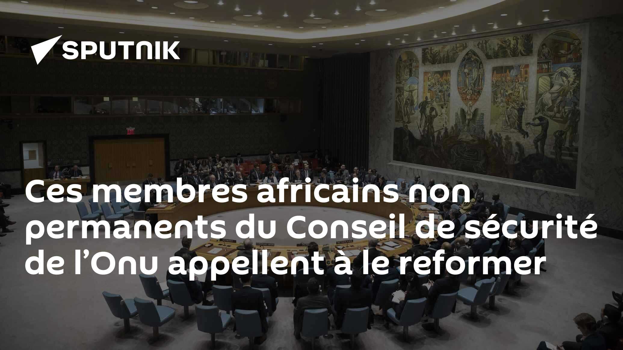Quatre membres non permanents du Conseil de sécurité de l’Onu appellent à une réforme de cet organe