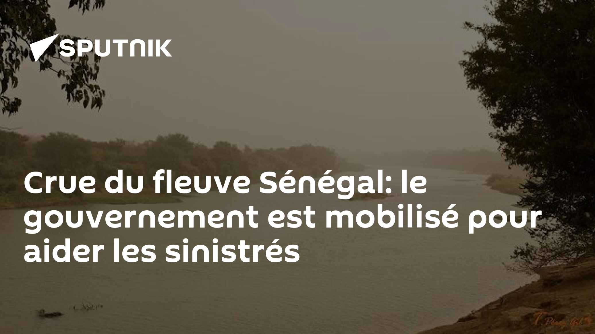 Сrue du fleuve Sénégal: le gouvernement est mobilisé pour aider les sinistrés