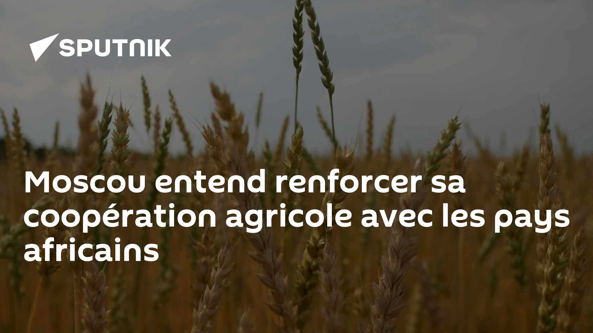 Moscou entend renforcer sa coopération agricole avec les pays africains