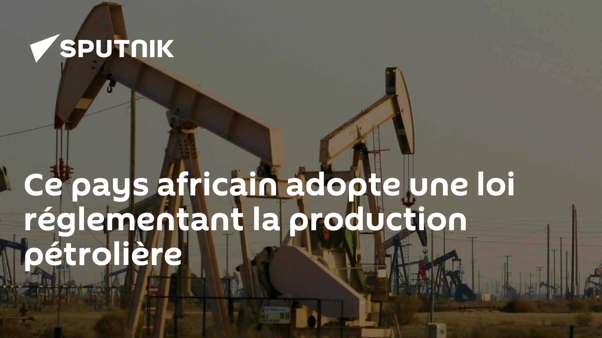 Ce pays africain adopte une loi réglementant la production pétrolière