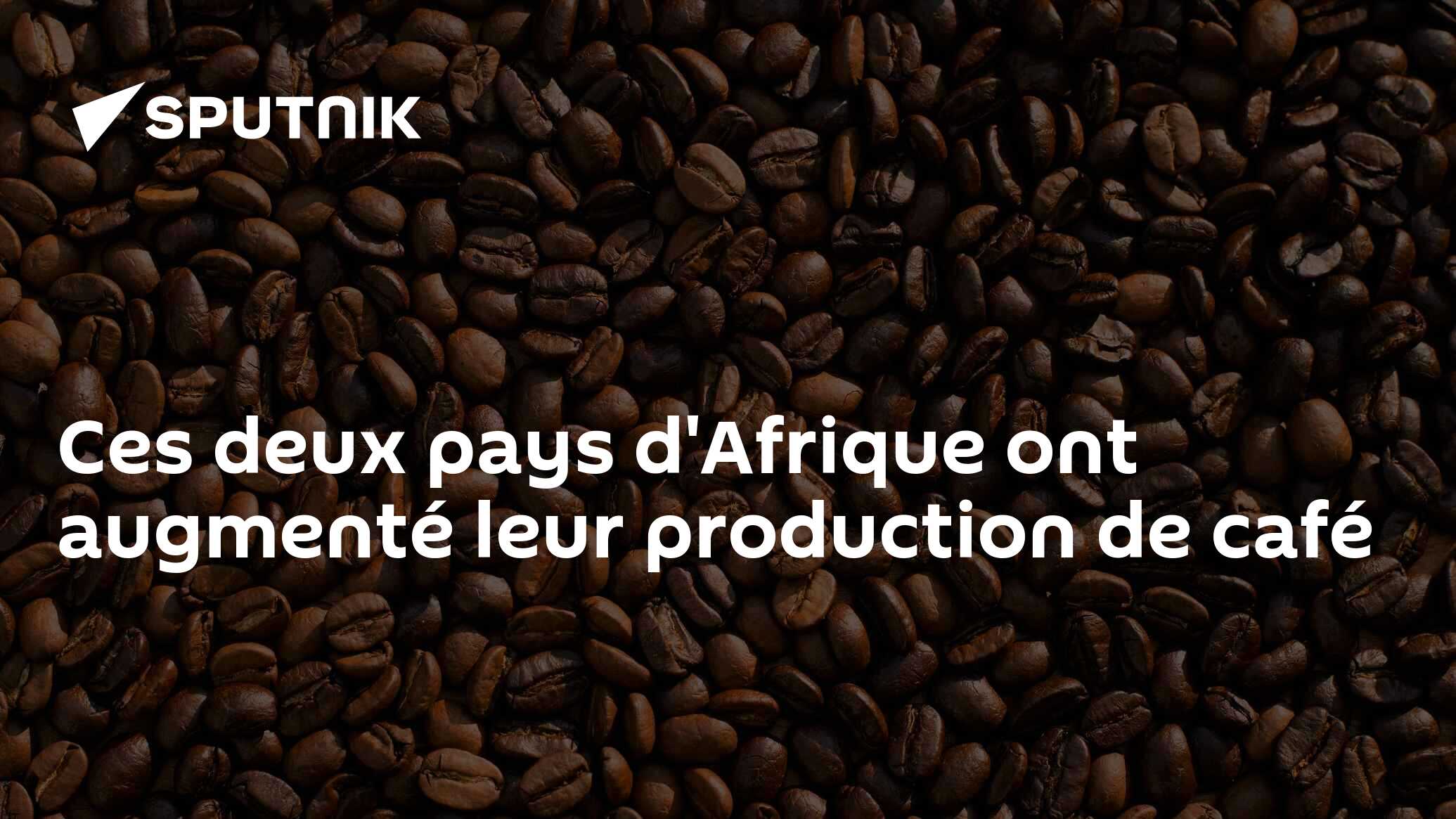 Ces deux pays d'Afrique ont augmenté leur production de café