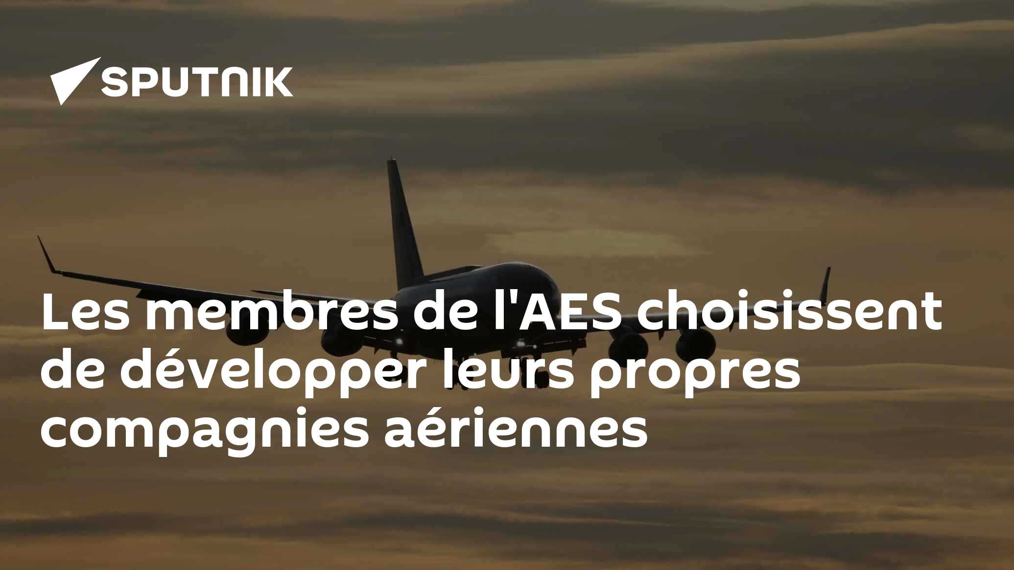 Les membres de l'AES choisissent de développer leurs propres compagnies aériennes