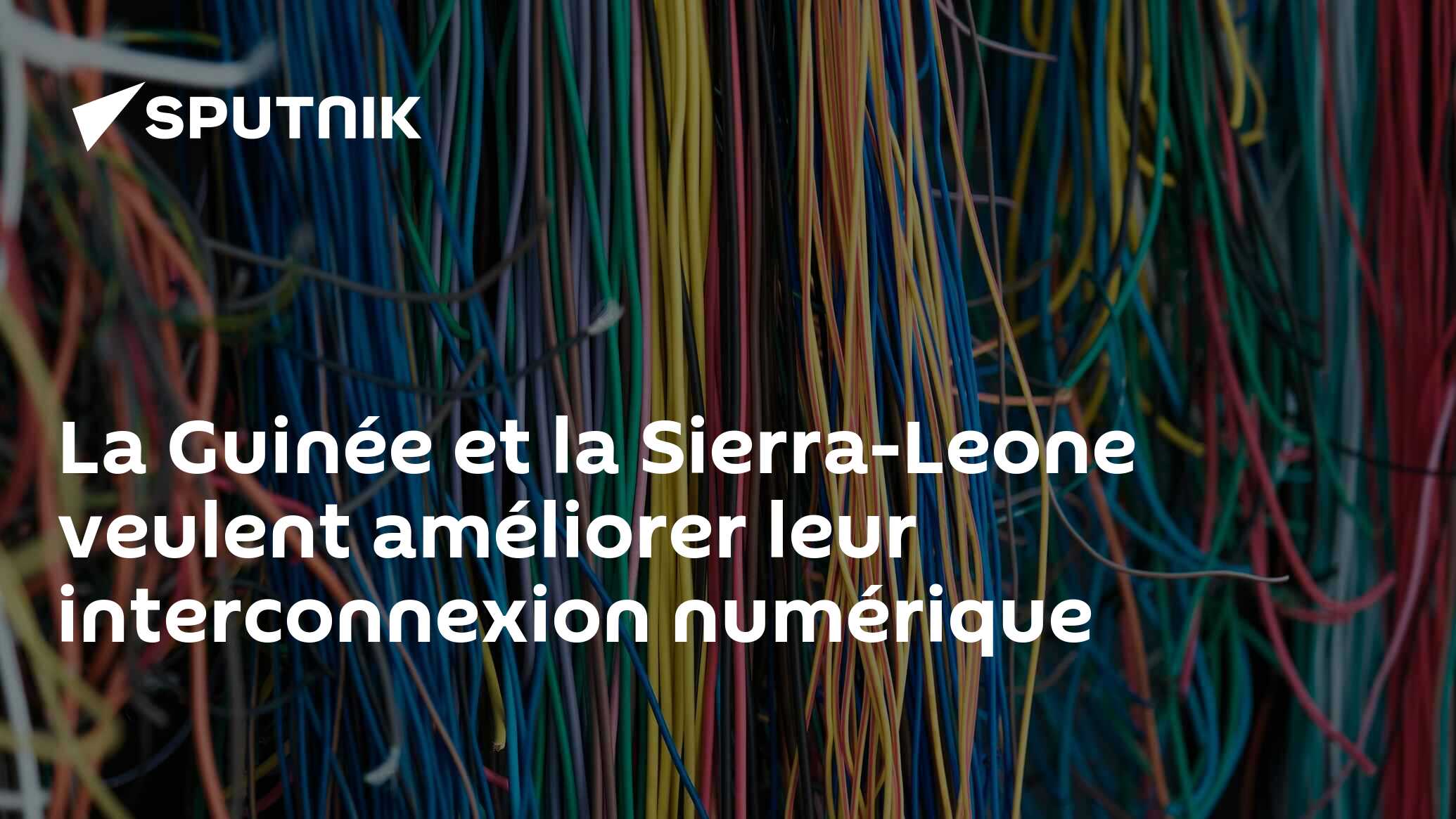 La Guinée et la Sierra-Leone veulent améliorer leur interconnexion numérique