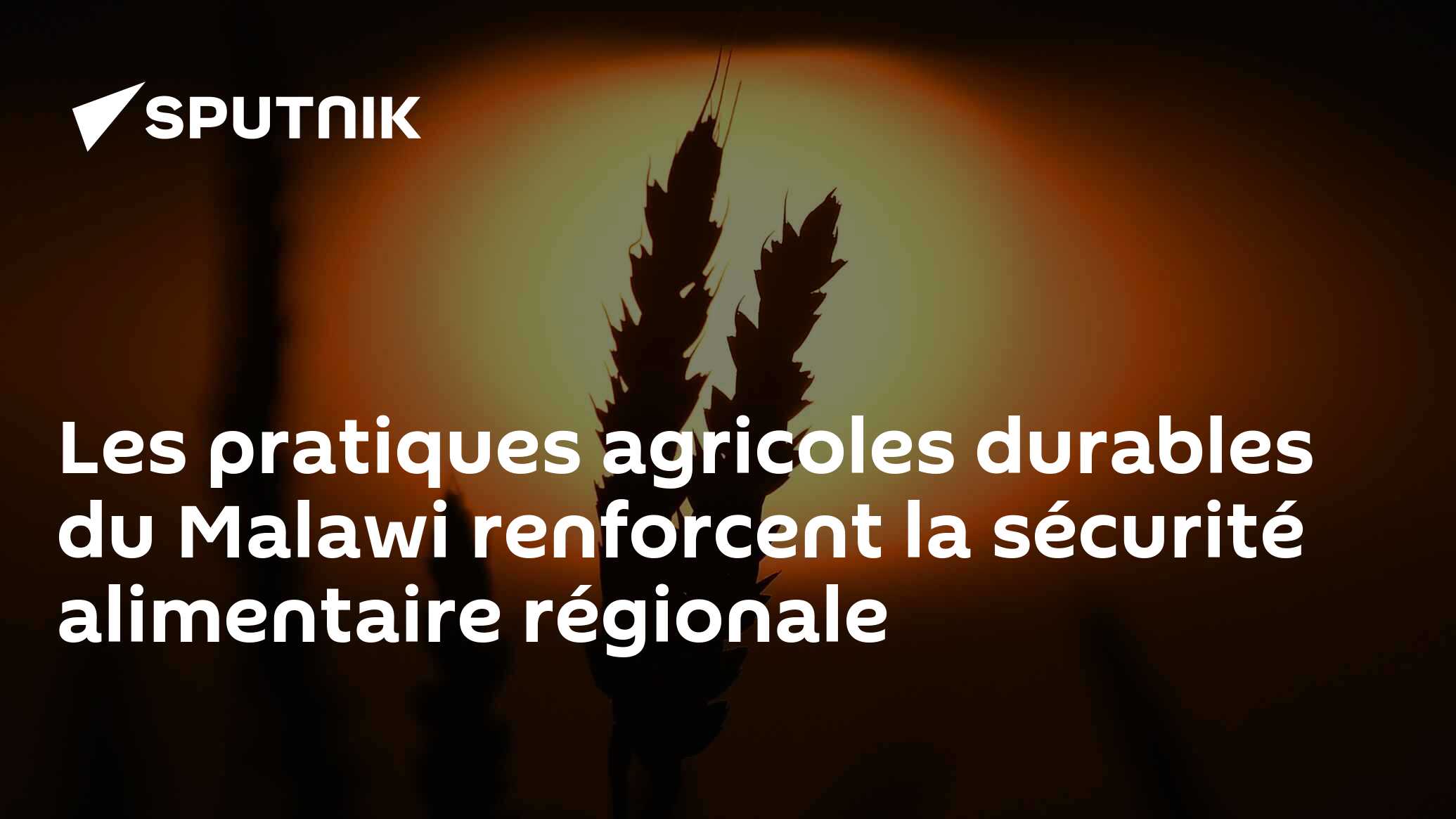 Les pratiques agricoles durables du Malawi renforcent la sécurité alimentaire régionale