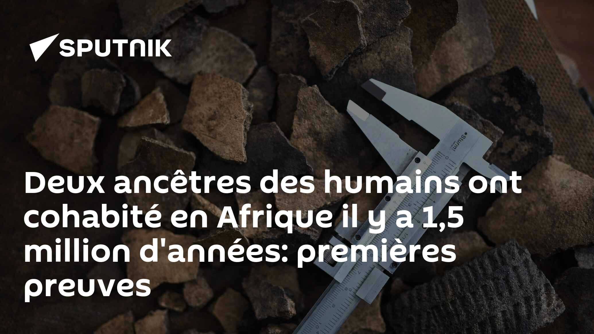 Deux ancêtres des humains ont cohabité en Afrique il y a 1,5 million d'années: premières preuves