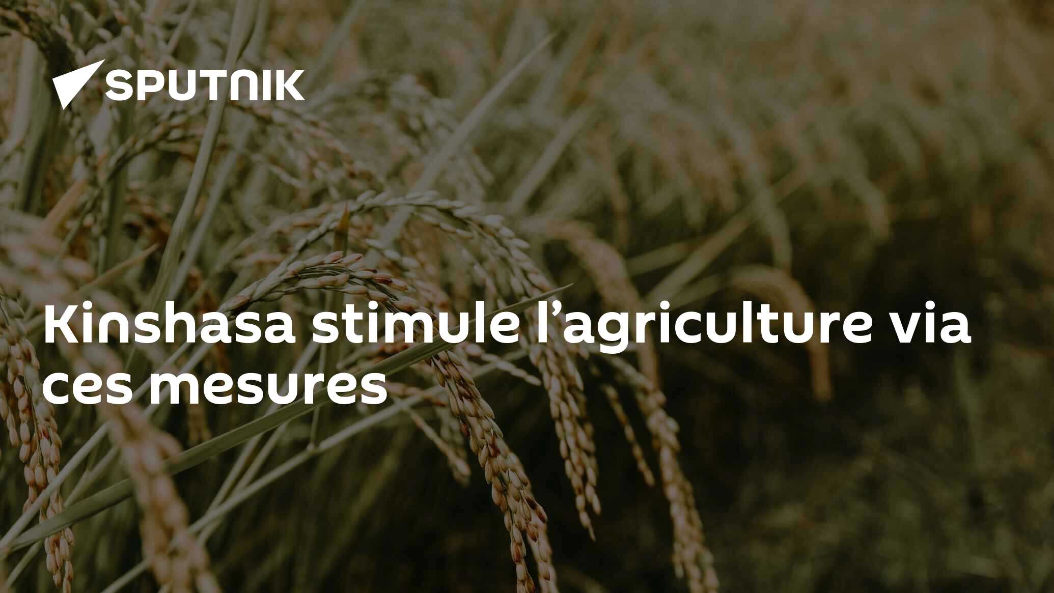 Kinshasa stimule l’agriculture via ces mesures