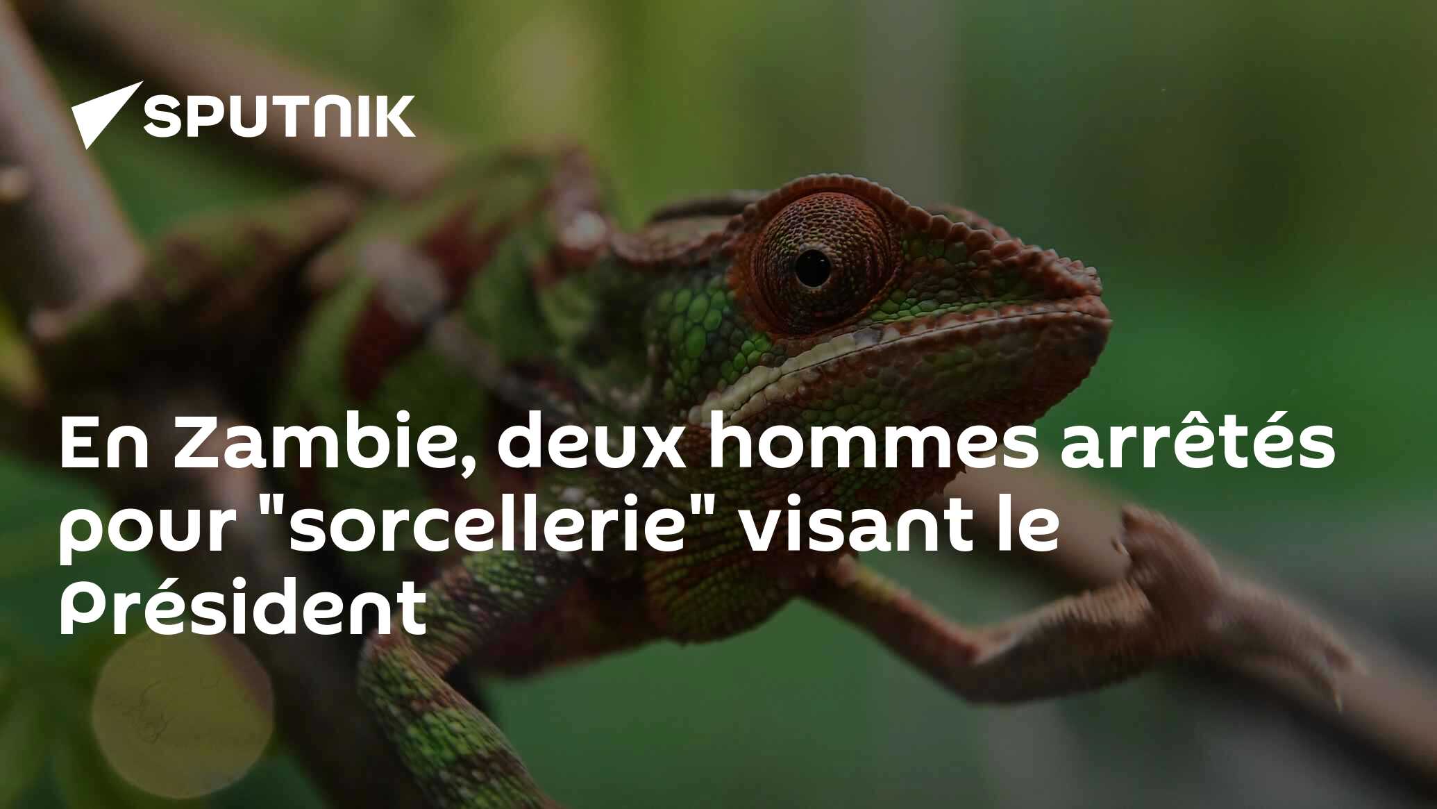 En Zambie, deux hommes arrêtés pour "sorcellerie" visant le Président
