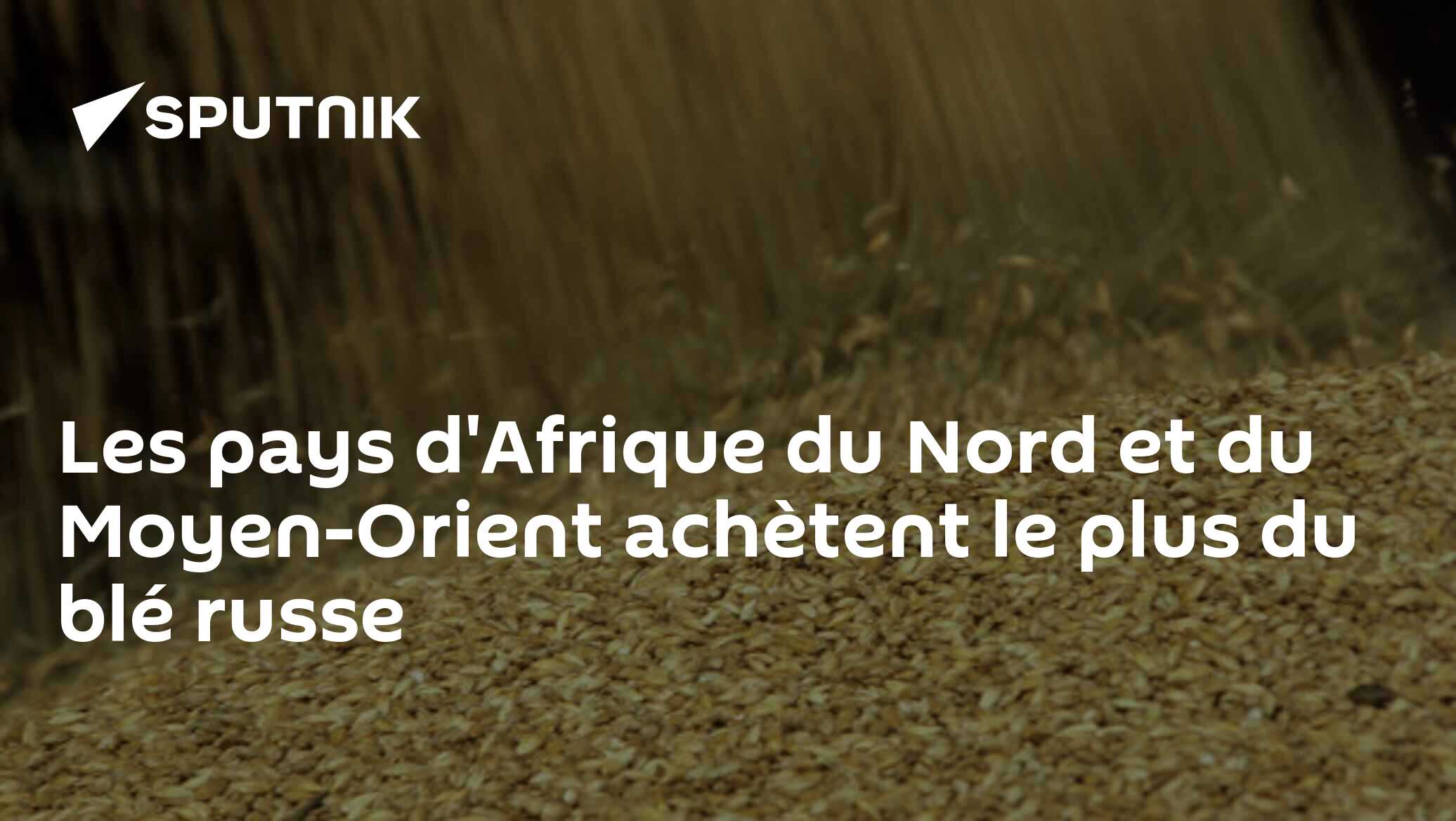 Les pays d'Afrique du Nord et du Moyen-Orient achètent le plus du blé russe