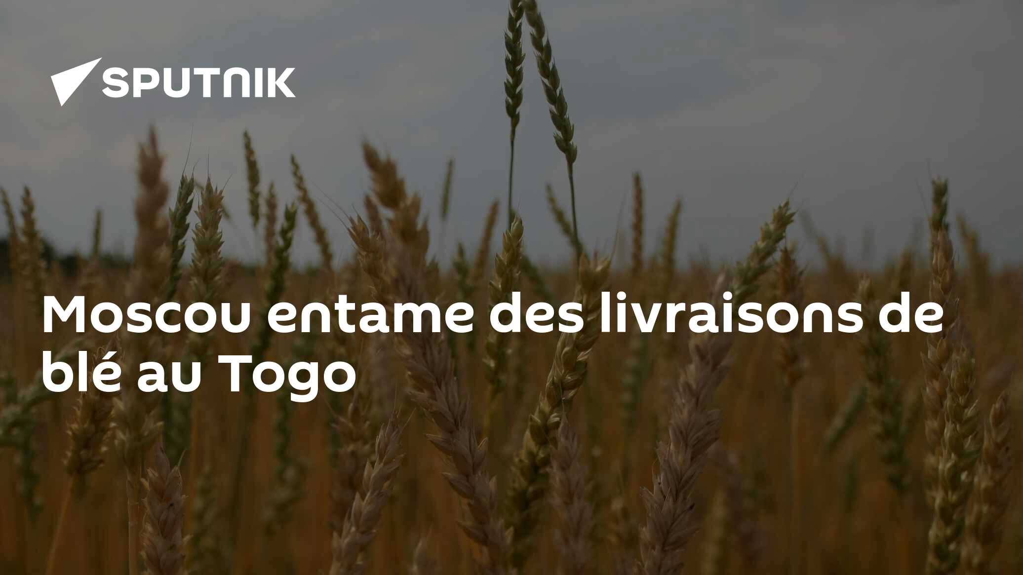 Moscou entame des livraisons de blé au Togo - 15.01.2025, Sputnik Afrique