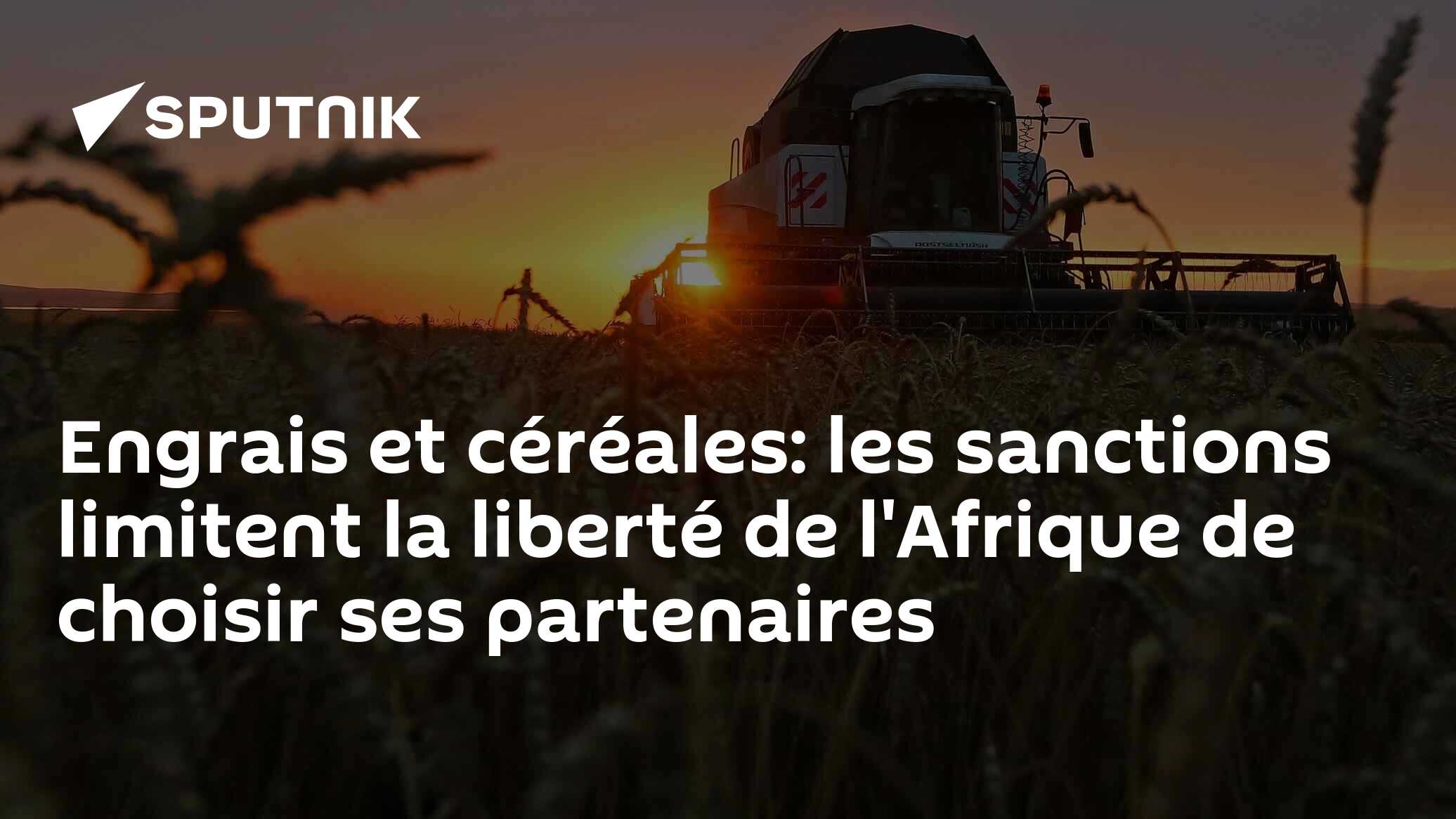 Engrais et céréales: les sanctions limitent la liberté de l'Afrique de choisir ses partenaires