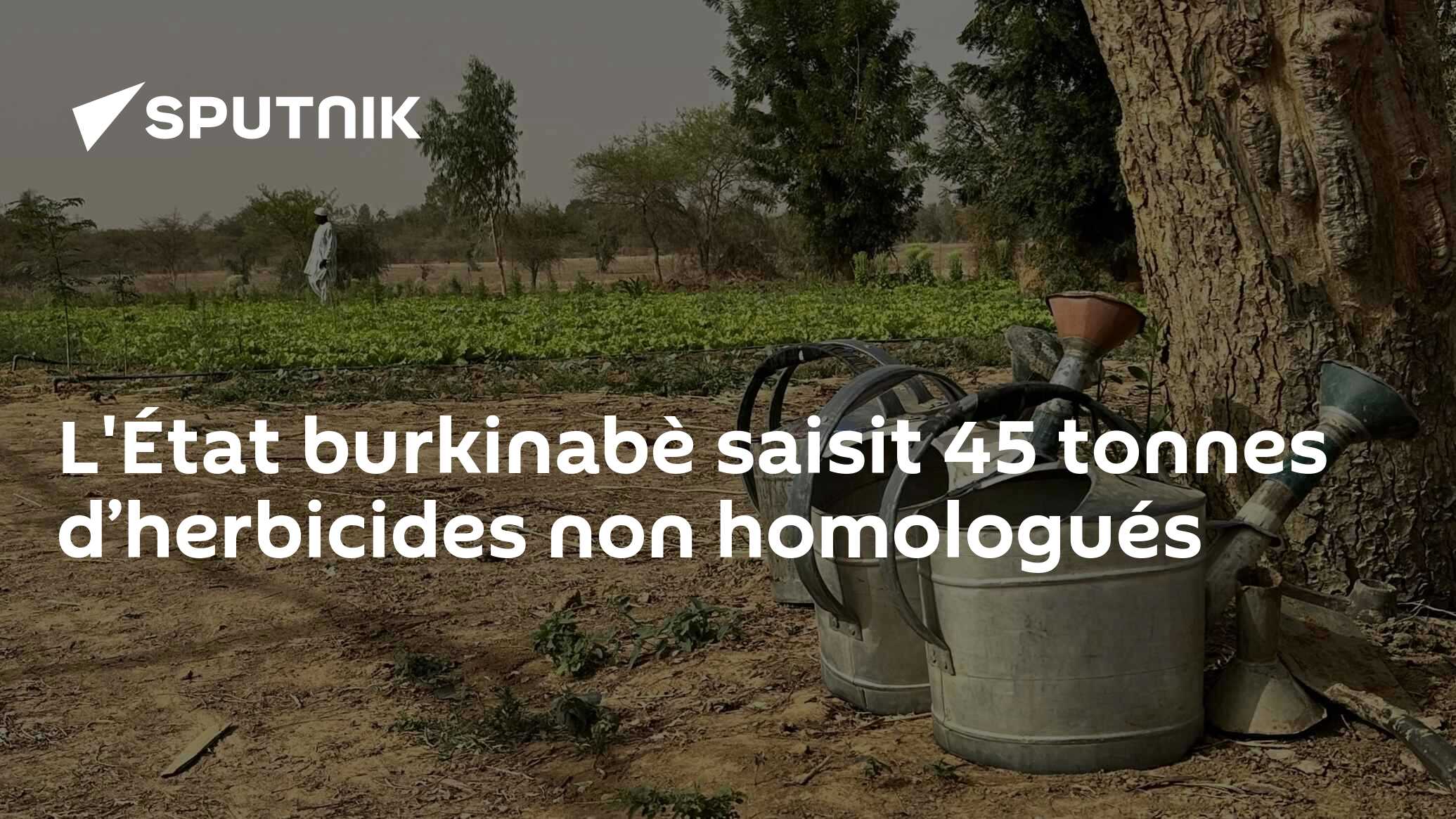 L'État burkinabè saisit 45 tonnes d’herbicides non homologués