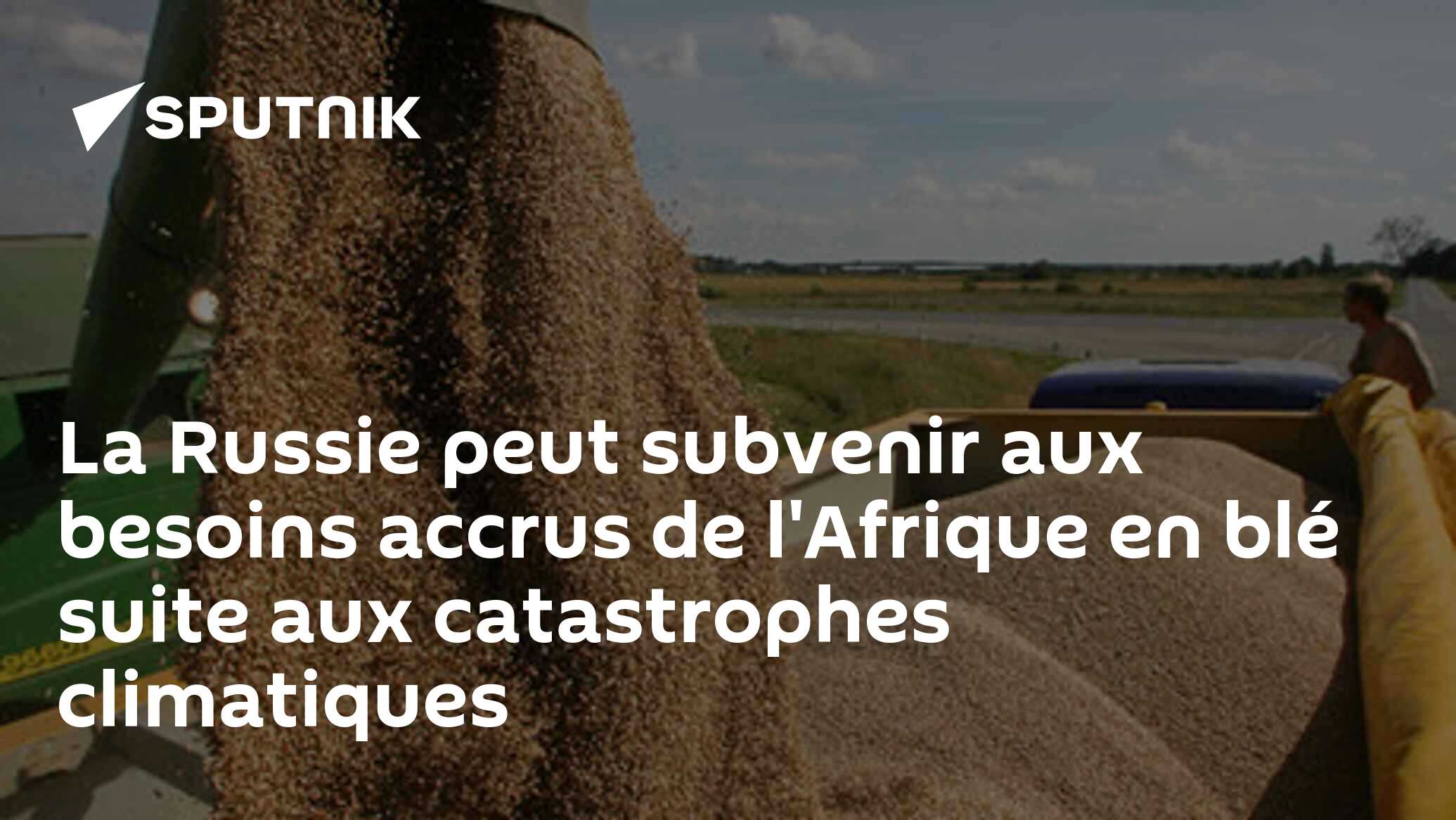 La Russie peut subvenir aux besoins accrus de l'Afrique en blé suite aux catastrophes climatiques