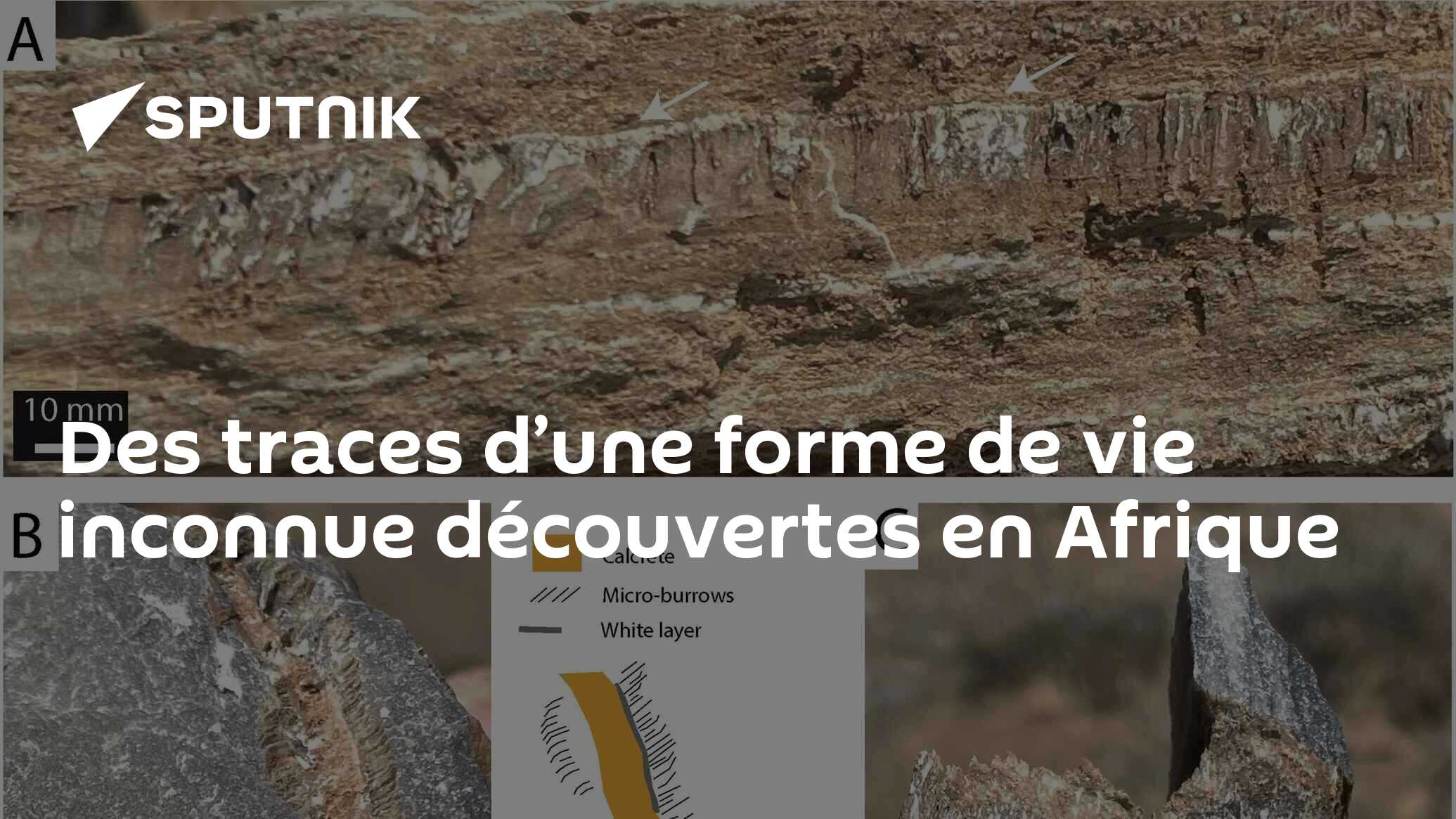 Des traces d’une forme de vie inconnue découvertes en Afrique