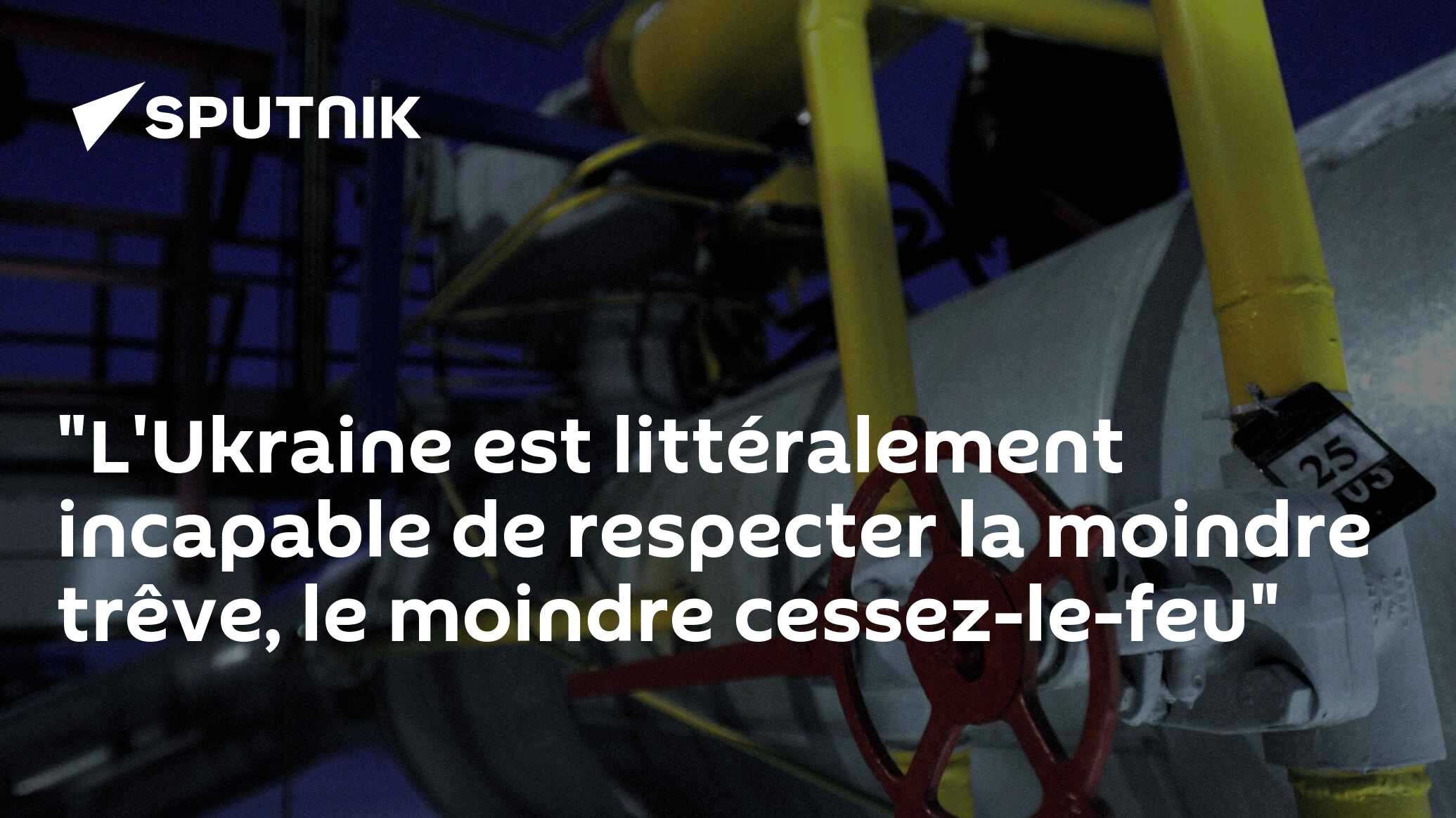 "L'Ukraine est littéralement incapable de respecter la moindre trêve, le moindre cessez-le-feu"