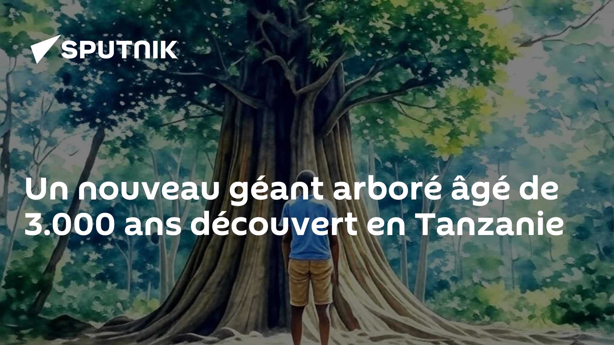 Un nouveau géant arboré âgé de 3.000 ans découvert en Tanzanie