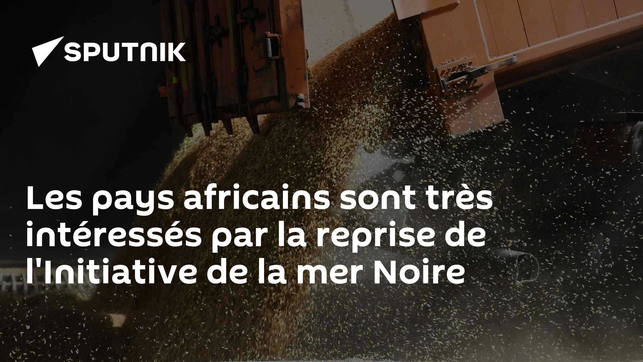 Les pays africains sont très intéressés par la reprise de l'Initiative de la mer Noire