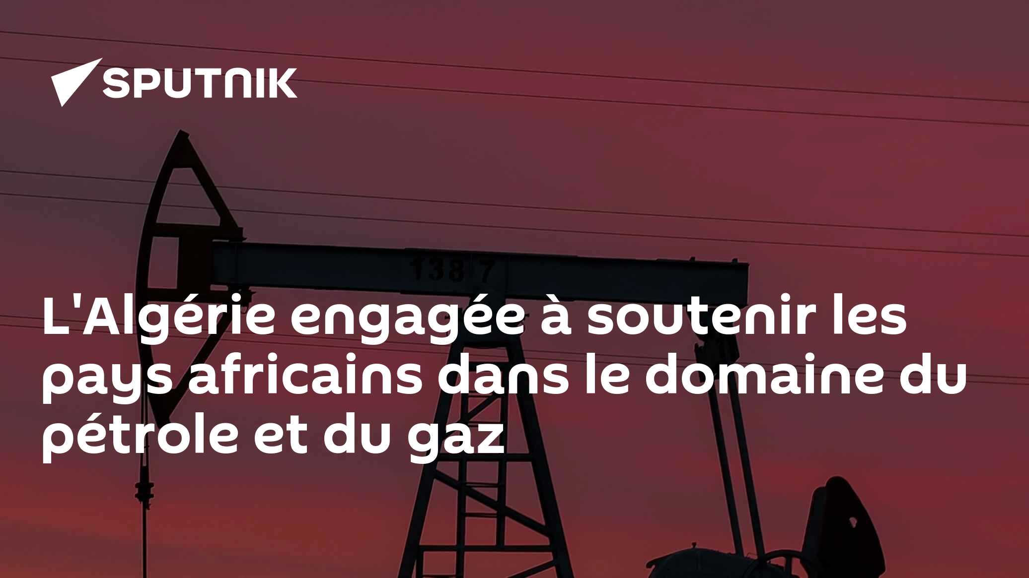 L'Algérie engagée à soutenir les pays africains dans le domaine du pétrole et du gaz