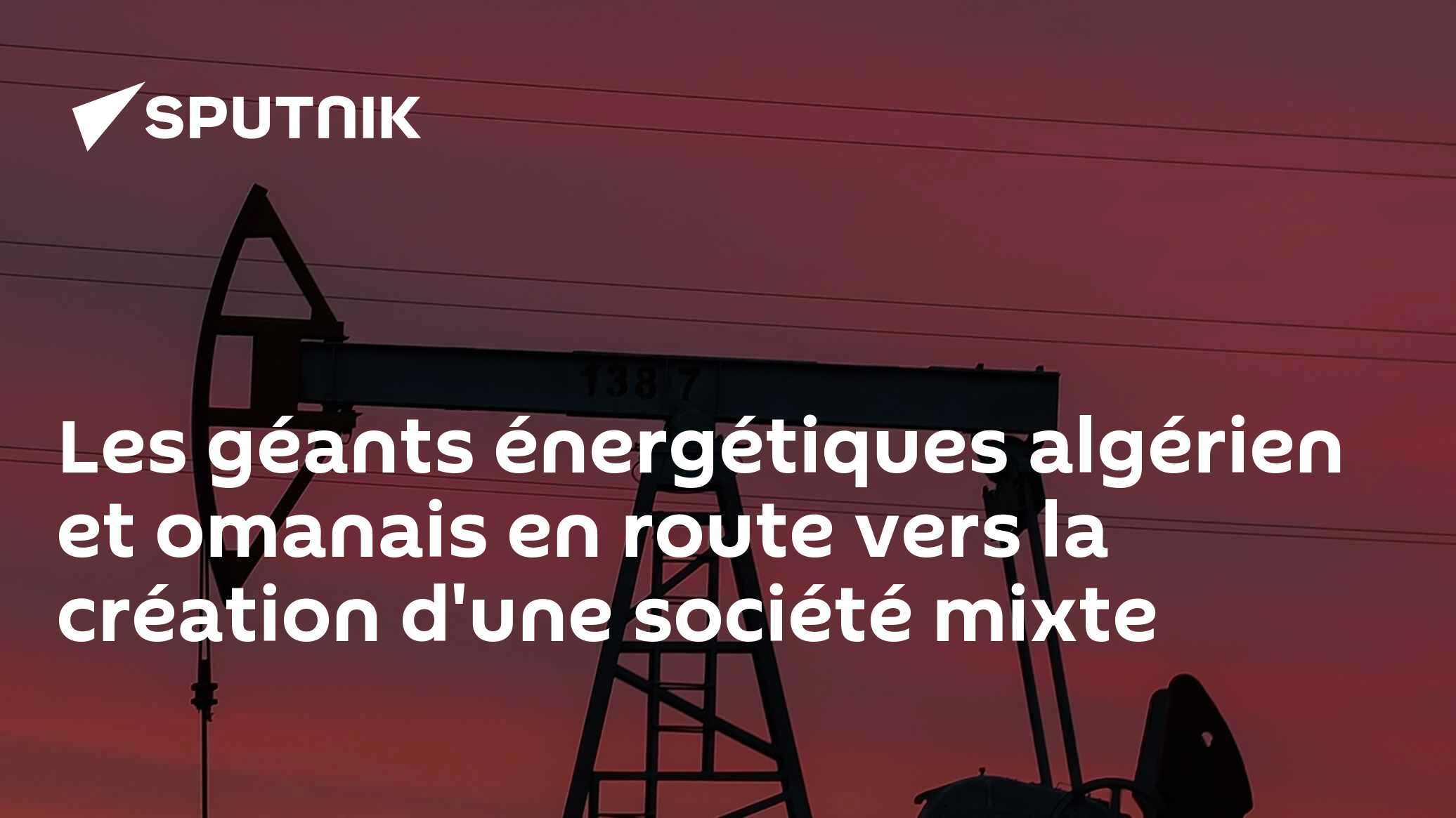 Les géants énergétiques algérien et omanais en route vers la création d'une société mixte