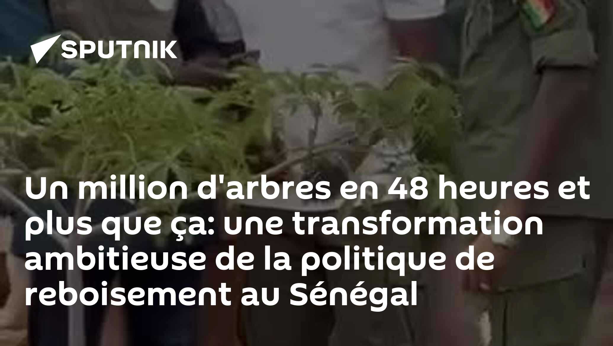 Un million d'arbres en 48 heures et plus que ça: une transformation