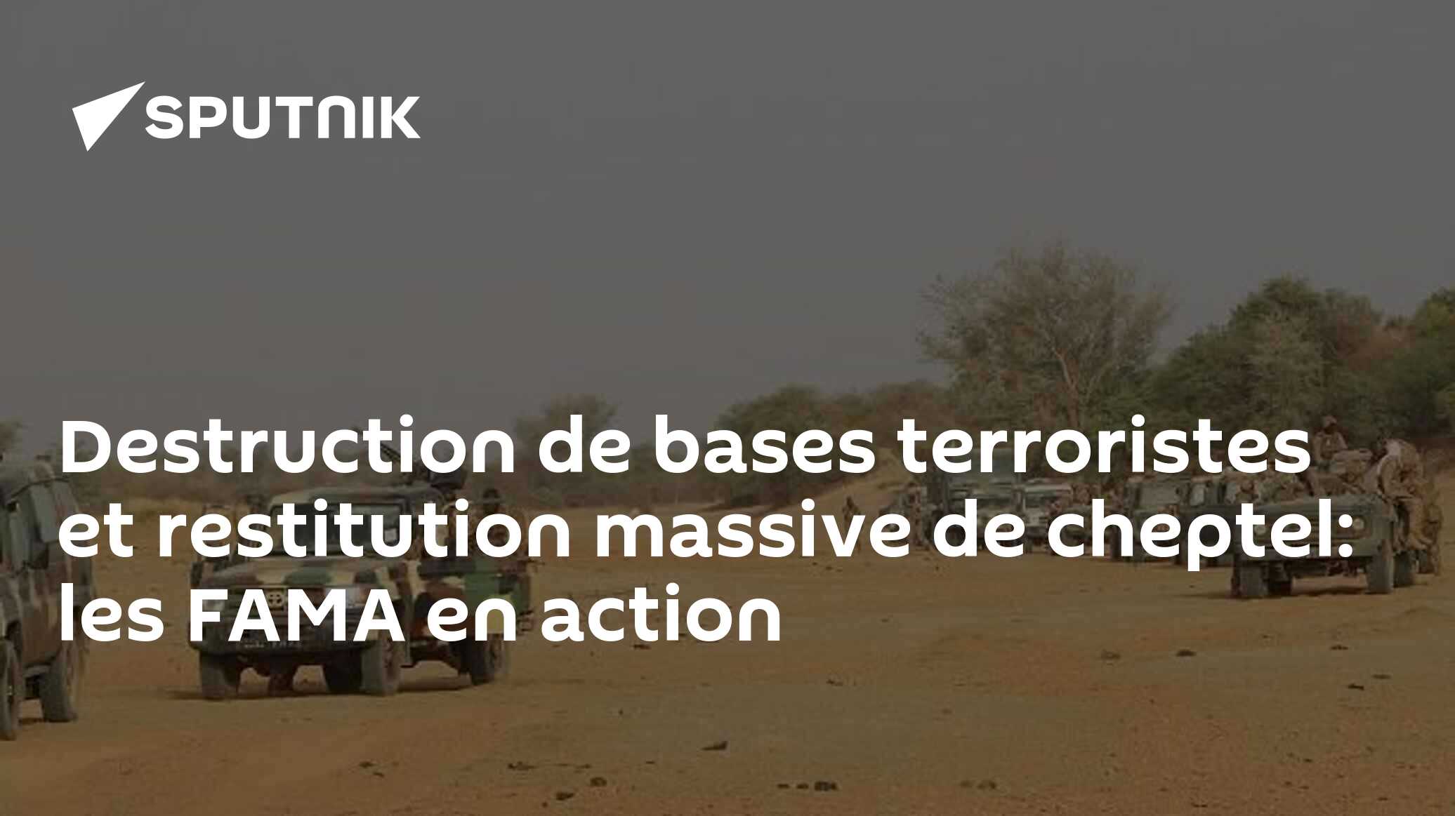 Destruction de bases terroristes et restitution massive de cheptel: les FAMA en action