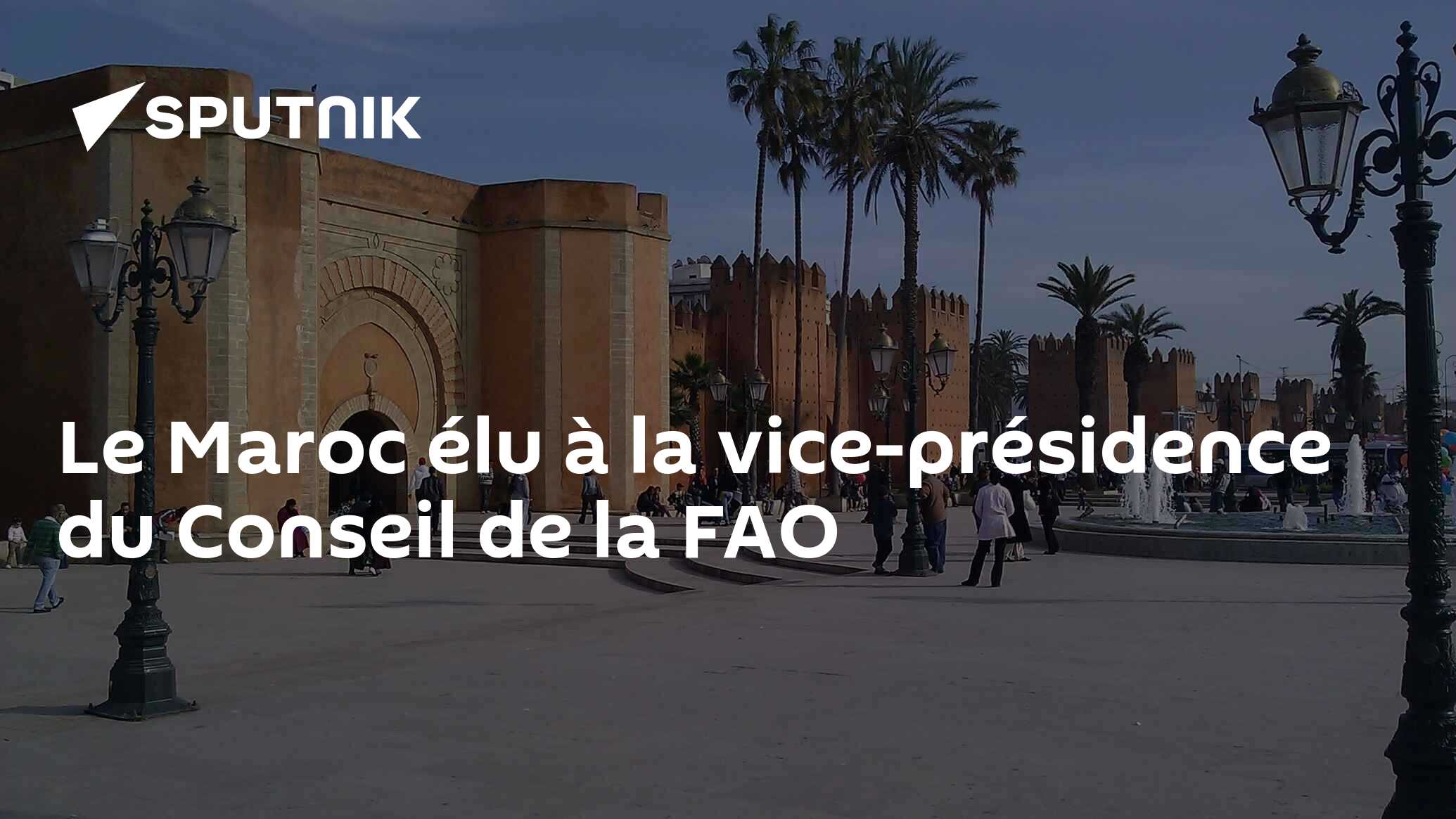 Le Maroc élu à la vice-présidence du Conseil de la FAO
