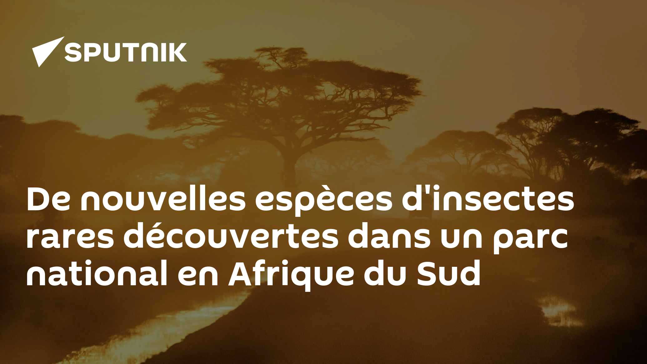 https://cdn1.img.sputniknews.africa/images/sharing/article/fra/1083543342.jpg?10835431531771480857=