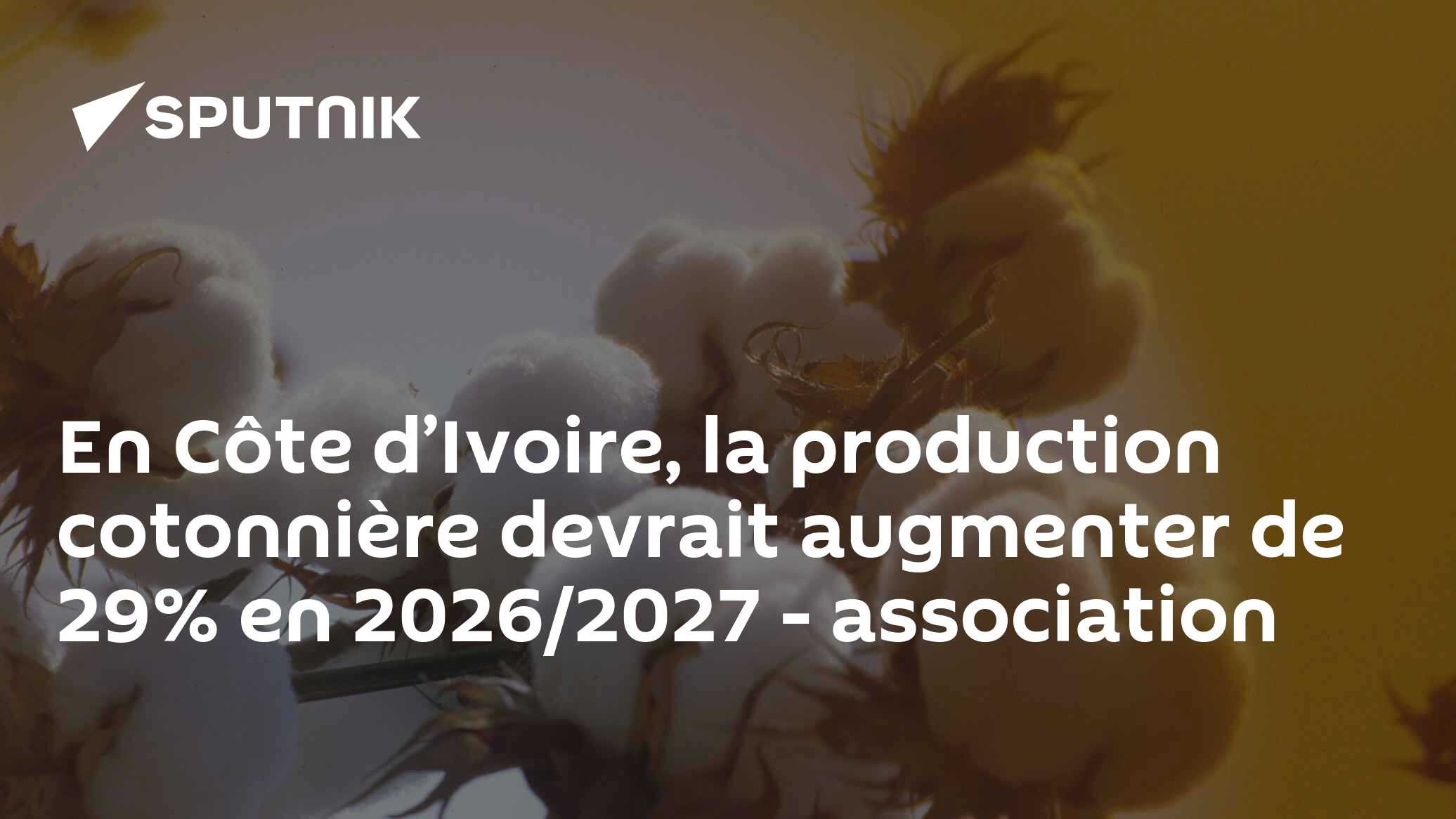 En Côte d’Ivoire, la production cotonnière devrait augmenter de 29% en 2026/2027 - association