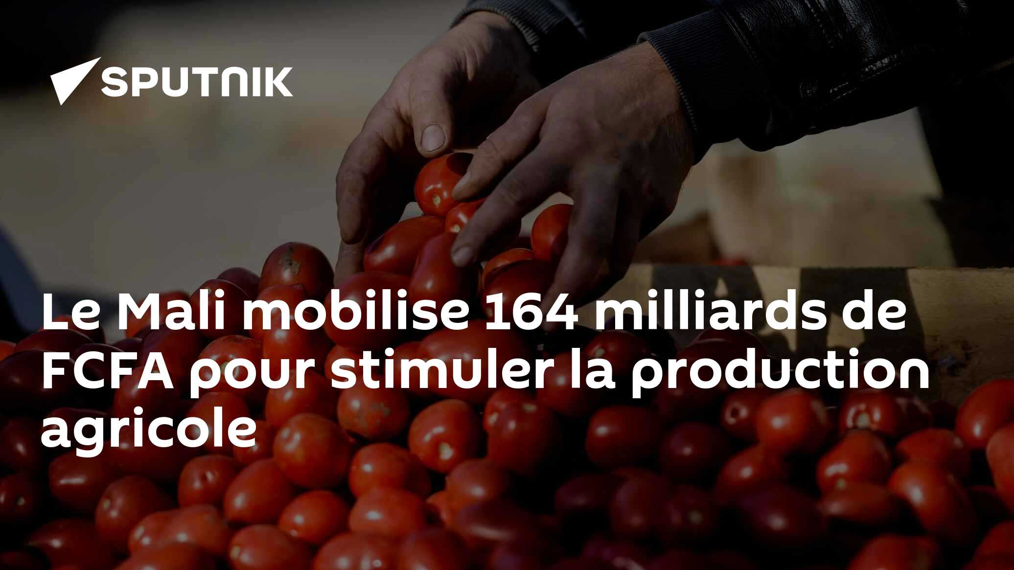 Le Mali mobilise 164 milliards de FCFA pour stimuler la production agricole