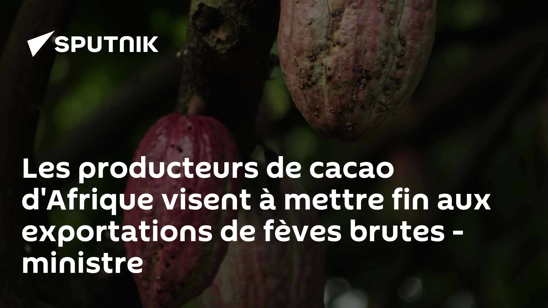 Les producteurs de cacao d'Afrique visent à mettre fin aux exportations de fèves brutes - ministre