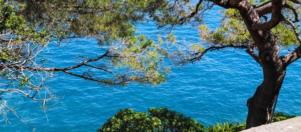 Une plage - Sputnik Afrique
