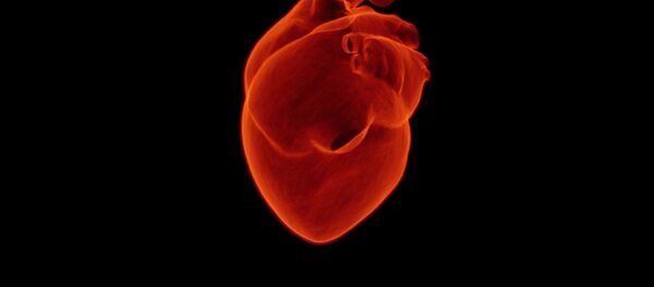 Image d'illustration  - Sputnik Afrique