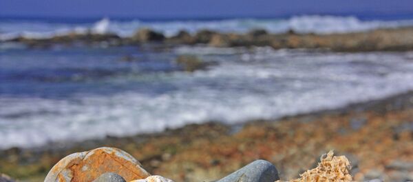 Le golfe de Wooli, au nord de Sydney, Australie - Sputnik Afrique