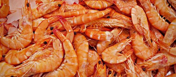 Des crevettes - Sputnik Afrique