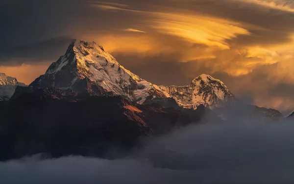 Amour en pleine nature et lumière dorée: les vainqueurs du concours Sony Alpha Awards 2020
Amour en pleine nature et lumière dorée: les vainqueurs du concours Sony Alpha Awards 2020
- Sputnik Afrique