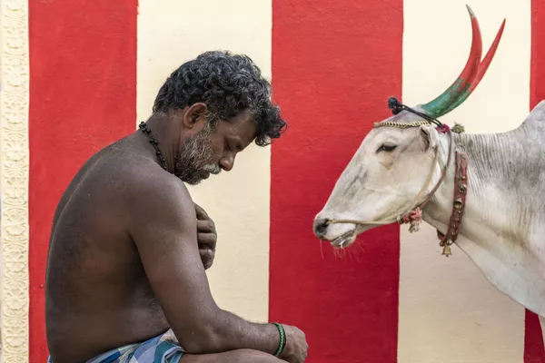 Amour en pleine nature et lumière dorée: les vainqueurs du concours Sony Alpha Awards 2020
Amour en pleine nature et lumière dorée: les vainqueurs du concours Sony Alpha Awards 2020
- Sputnik Afrique