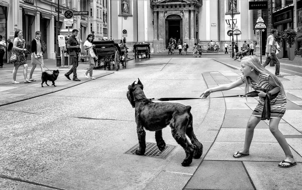 Amour en pleine nature et lumière dorée: les vainqueurs du concours Sony Alpha Awards 2020
Amour en pleine nature et lumière dorée: les vainqueurs du concours Sony Alpha Awards 2020
- Sputnik Afrique