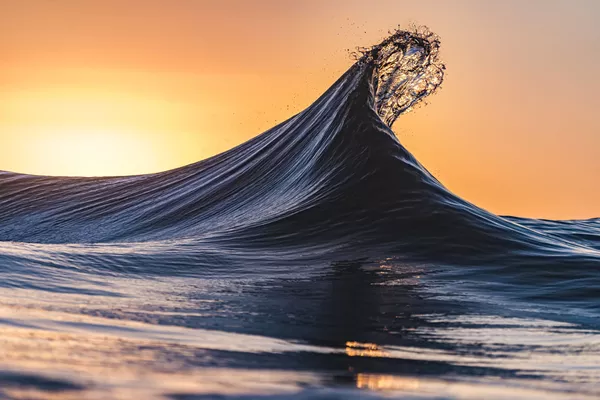 Amour en pleine nature et lumière dorée: les vainqueurs du concours Sony Alpha Awards 2020
Amour en pleine nature et lumière dorée: les vainqueurs du concours Sony Alpha Awards 2020
- Sputnik Afrique