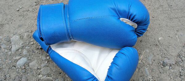gants de boxe, image d'illustration - Sputnik Afrique