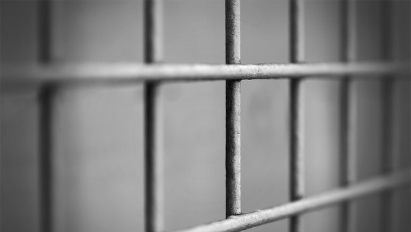 barreaux de prison, image d'illustration - Sputnik Afrique