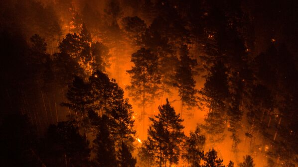 La Sibérie en proie aux flammes: feux de forêt en Iakoutie et dans la région de Krasnoïarsk

 - Sputnik Afrique