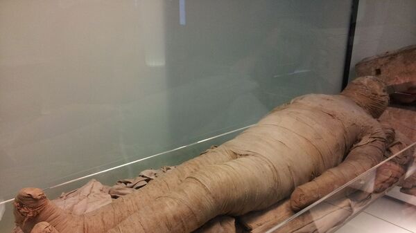Une momie au musée - Sputnik Afrique
