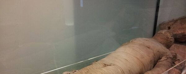 Une momie au musée - Sputnik Afrique