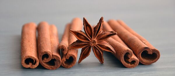 De la cannelle De la cannelle - Sputnik Afrique