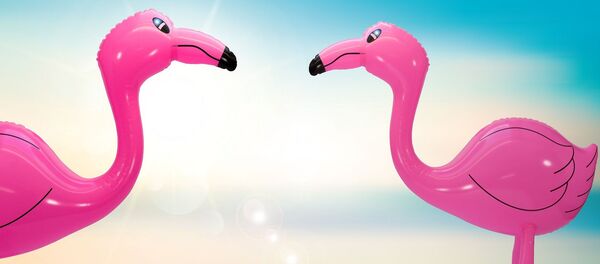 Un flamant rose gonflable  - Sputnik Afrique