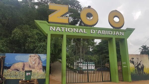Côte d’Ivoire: un baby-boom inédit qui redonne de l’éclat au zoo d’Abidjan Côte d’Ivoire: un baby-boom inédit qui redonne de l’éclat au zoo d’Abidjan - Sputnik Afrique