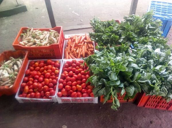 Côte d’Ivoire: un baby-boom inédit qui redonne de l’éclat au zoo d’Abidjan Côte d’Ivoire: un baby-boom inédit qui redonne de l’éclat au zoo d’Abidjan - Sputnik Afrique