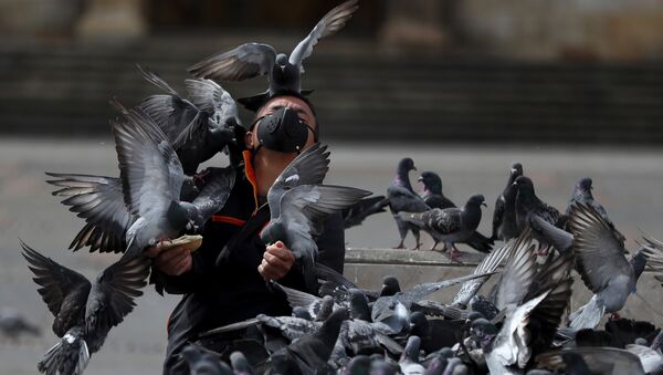 Un homme nourrit des pigeons - Sputnik Afrique