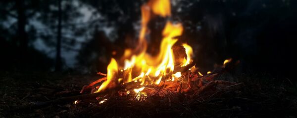 Feu de forêt - Sputnik Afrique