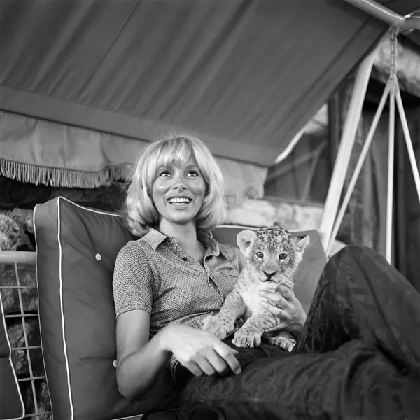 L'actrice française Mireille Darc avec un petit tigre. L'actrice française Mireille Darc avec un petit tigre. - Sputnik Afrique